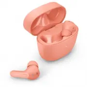 model-name