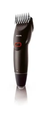 model-name