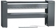 model-name