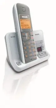 model-name
