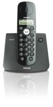 model-name