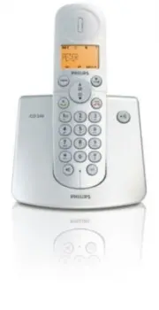 model-name