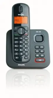 model-name
